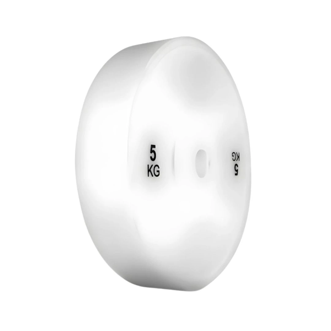 Bolt Strength Technique Plate-5kg 1 Bolt Strength Technique Plate-5kg