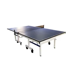 AccuPro Championship Table Tennis Table