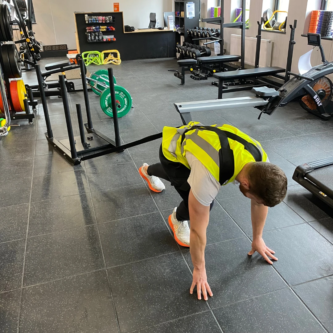 Bolt Strength Dog Sled 3 Bolt Strength Dog Sled - Image 3