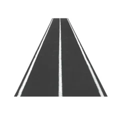 Bolt Strength Premium Turf With Lines | 2m X 12.5m (Black)