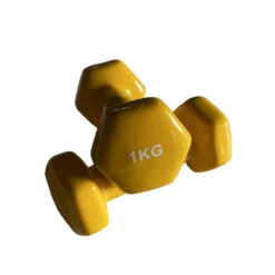 Neoprene Dumbbell Set (1-10kg) -Core Fitness Gear Neoprene Dumbbells 1KG 1
