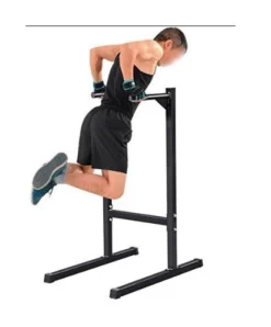 Semi Commercial Dip Stand