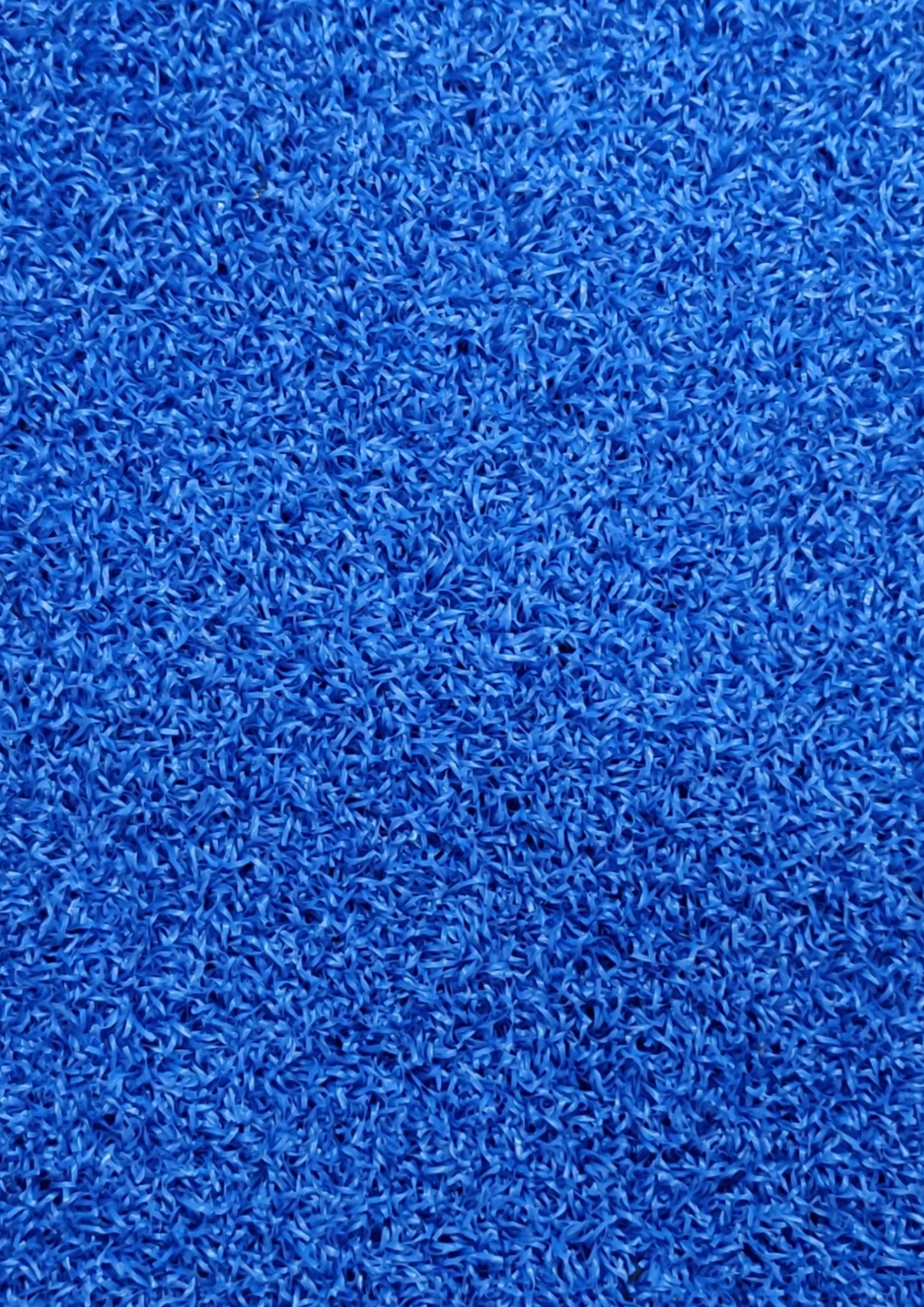 Bolt Strength Premium Turf | 2m X 12.5m (Blue) 3 Bolt Strength Premium Turf | 2m X 12.5m (Blue) - Image 3
